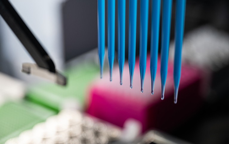 pipettes in a lab setting