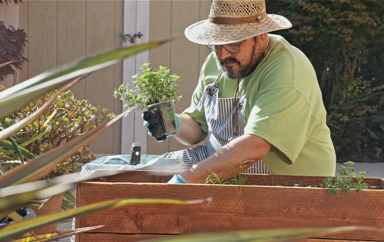 A senior man gardening