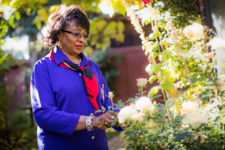 A woman tends to blooming roses in a garden