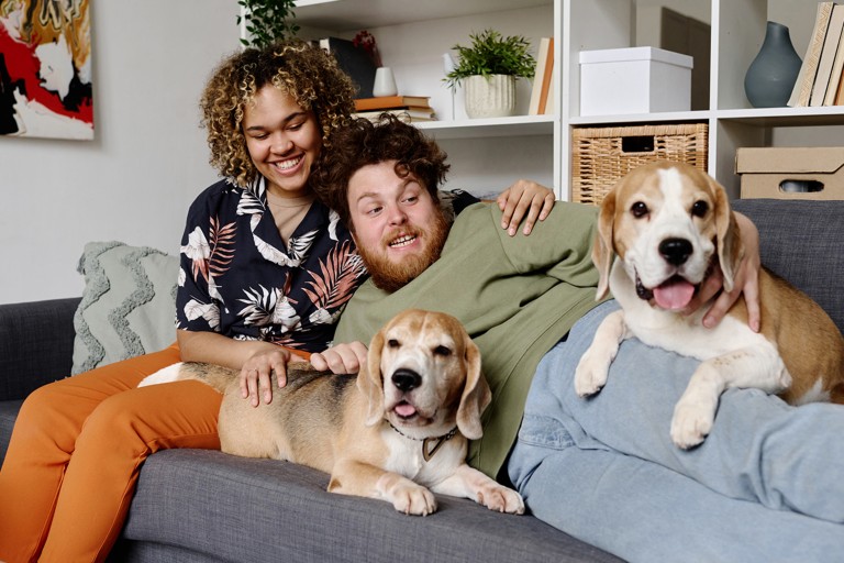 An obese man on the couch with his dogs