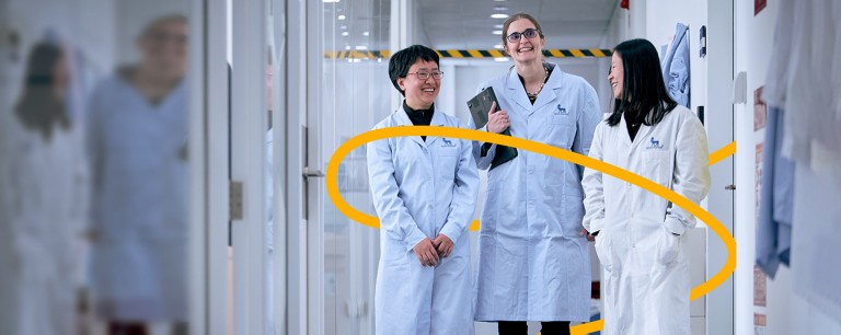 新卒採用情報