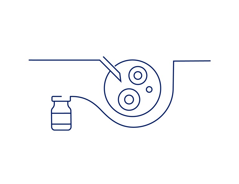Trinn 2 – Preklinisk testing