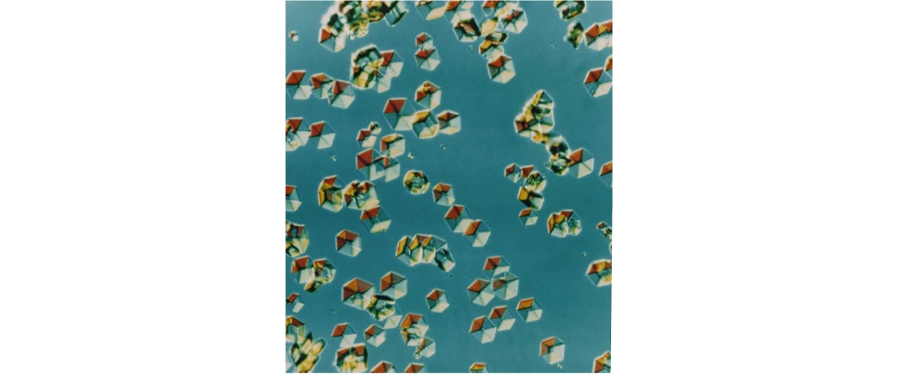 Human Monocomponent-insulinkristaller sedda genom mikroskop.