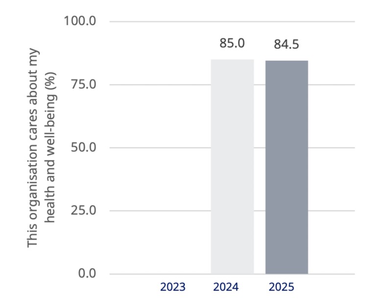 Graph of novo health performance for 2025