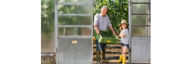 Material till dig med typ 2-diabetes