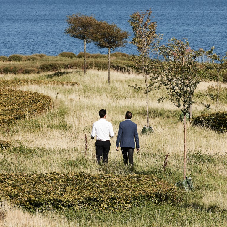 People walking in a forest