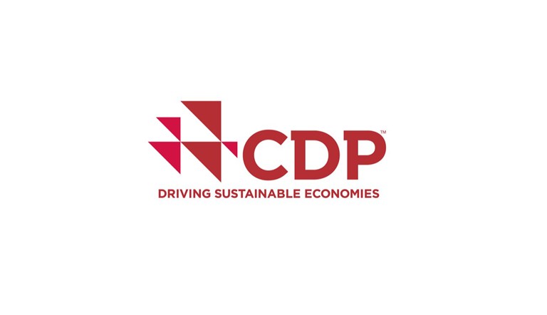 CDP pasaulinis logotipas