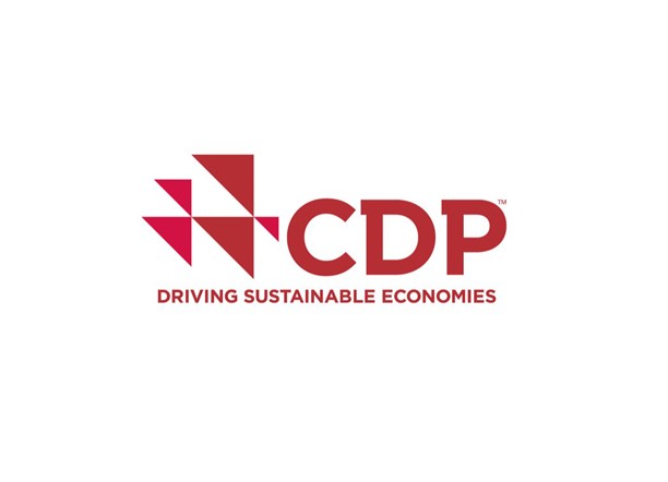 CDP 全球徽標。