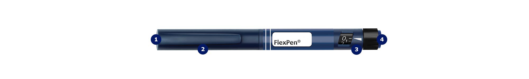 Learn more about FlexPen® 
