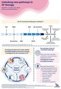 esc-hfa_hf_summary_infographic_page_4