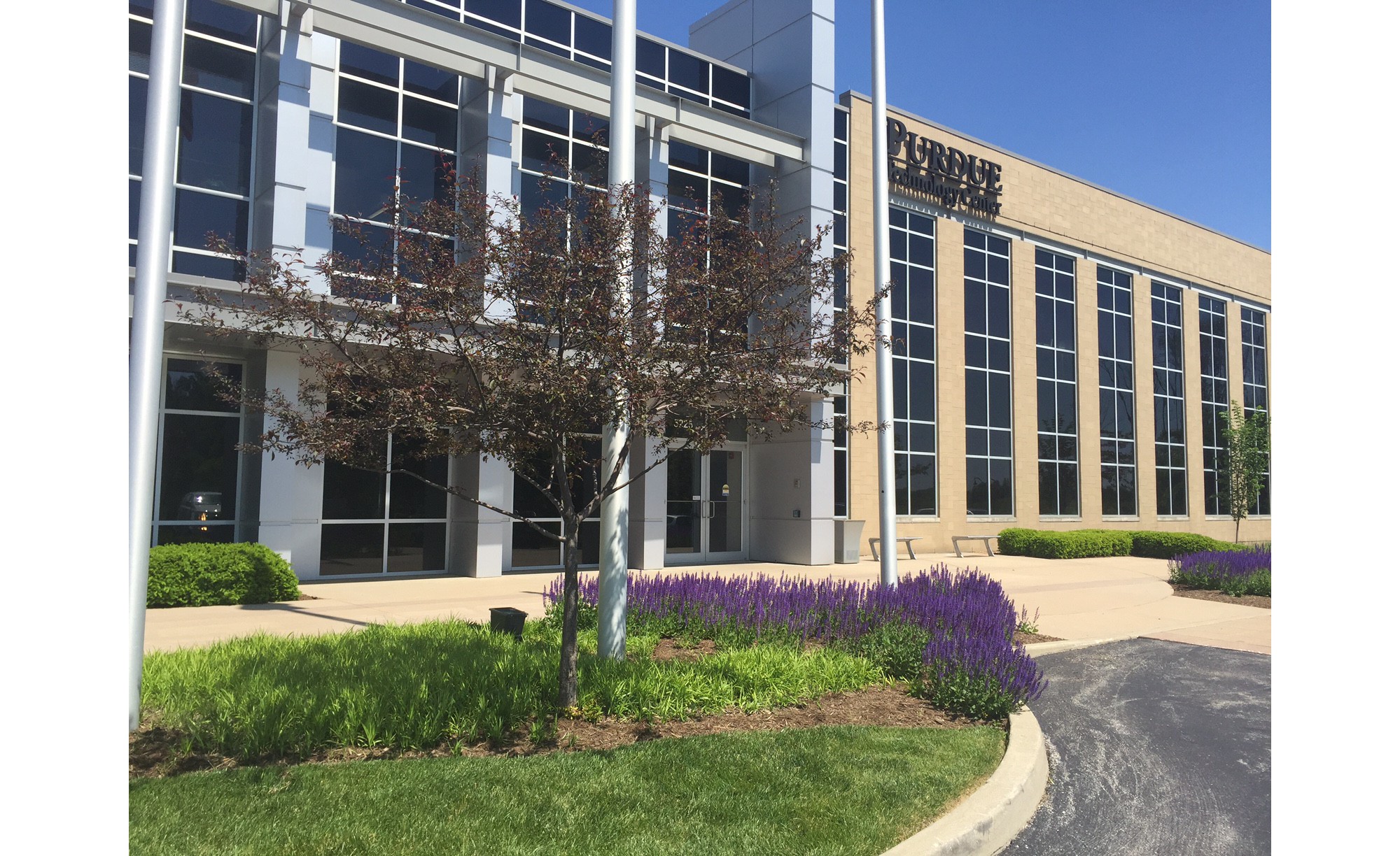 Who we Are Novo Nordisk U.S.