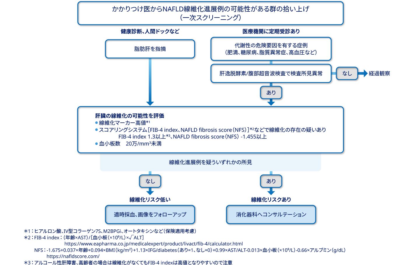 脂肪性肝疾患 | 肥満症とMASLD/MASH | 脂肪性肝疾患領域に関するトピック | 医療従事者向けサイト | ノボ ノルディスク プロ
