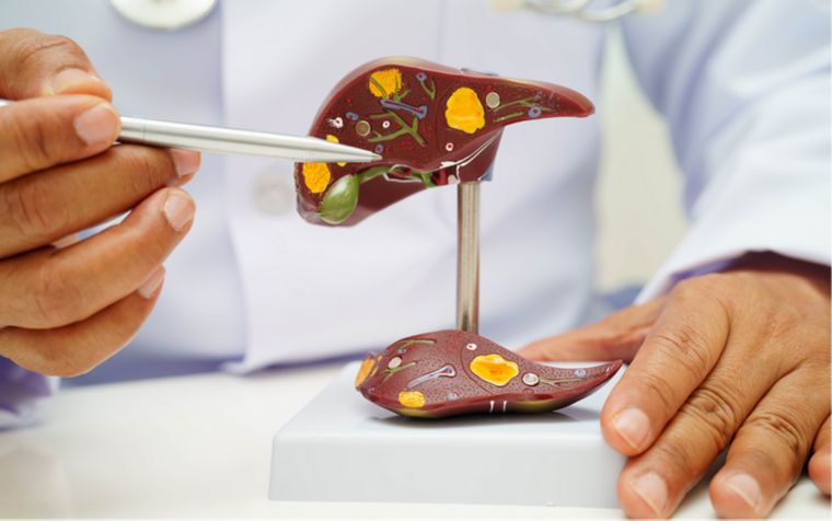 Oral semaglutide 25 mg obesityweek findings