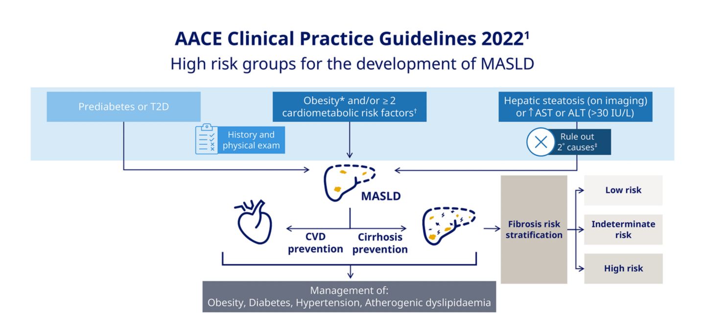 Diagnosis and management of MASH