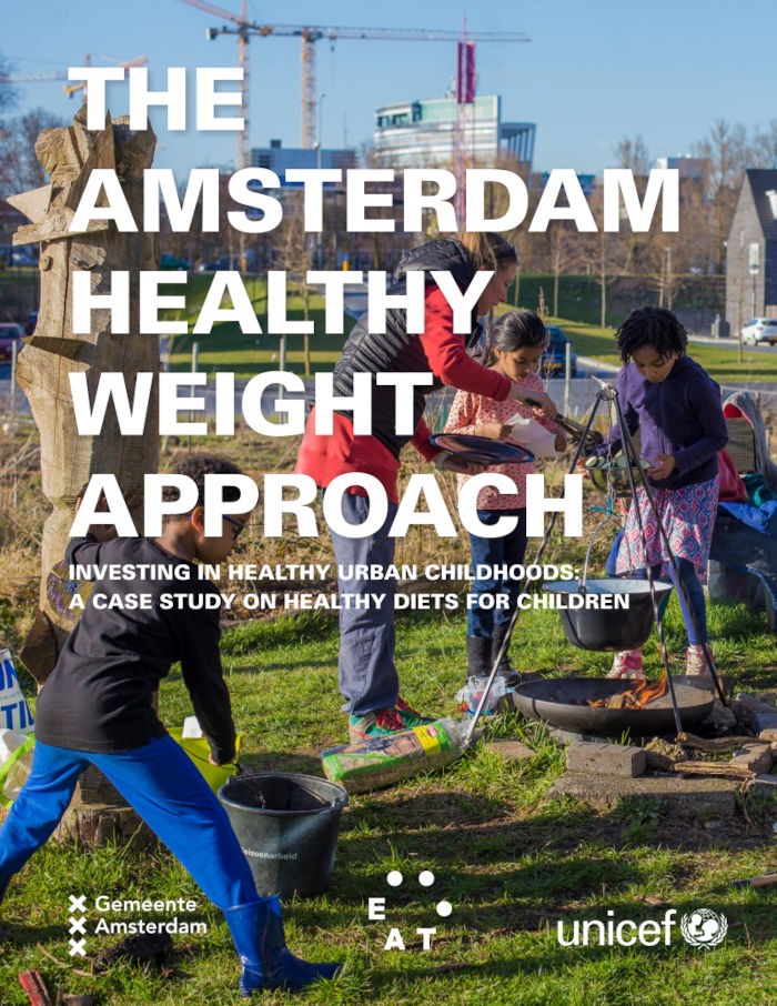 The Amsterdam Healthy Weight Approach cover