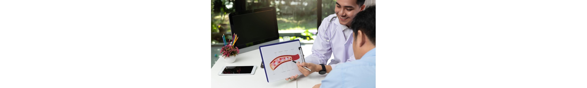 Doctor consultation Patient about  blood vessel with explain model of blood vessel on clipboard in medical office at hospital