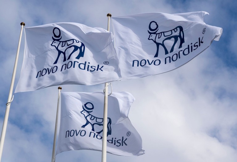 Image of Novo Nordisk flags