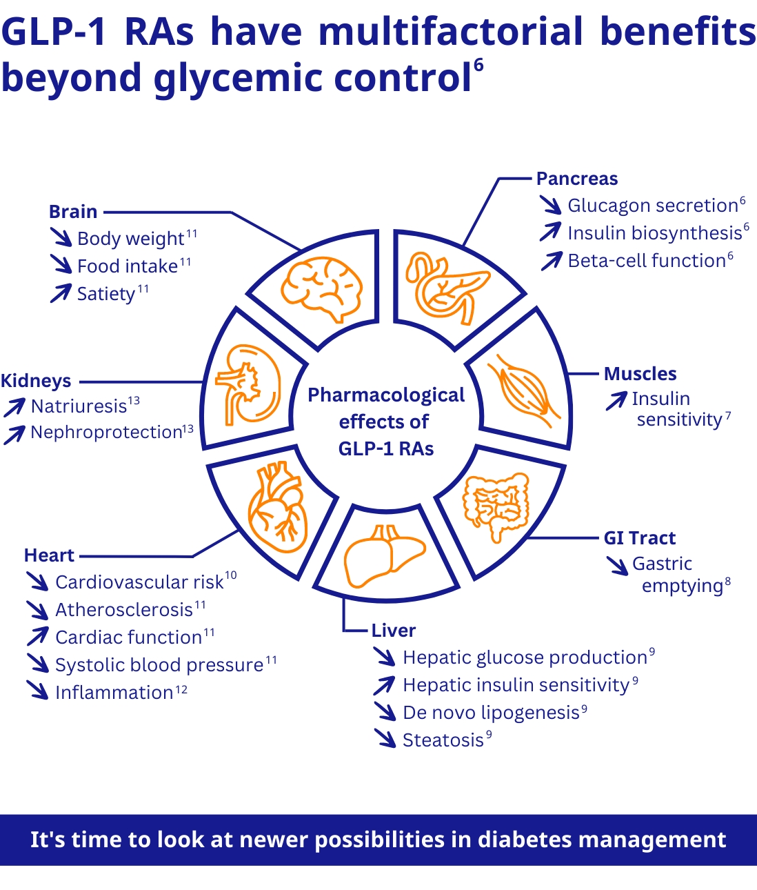 GLP1 beyond glycemic control - 2