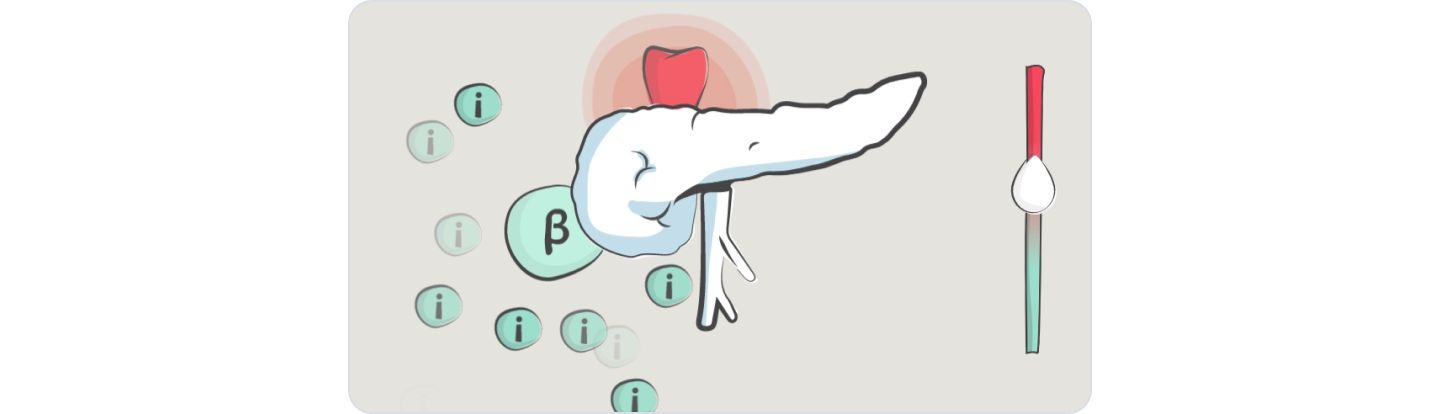 What is GLP-1?