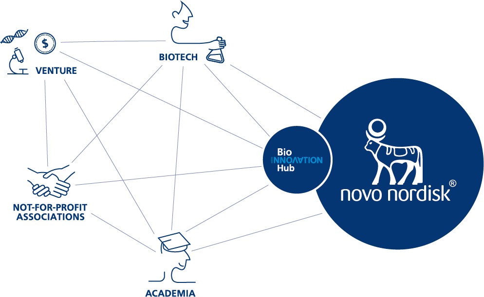 Novo Nordisk Bio Innovation Hub collaboration model with Biotech, Venture, Not-for-profit Associations, and Academia fields 