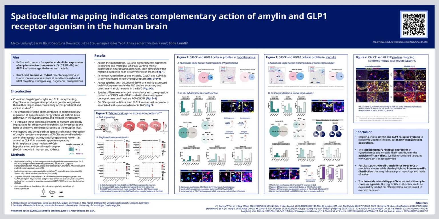 novo nordisk glp-1 receptor agonist medications Ozempic's patent problem: how lost control of a blockbuster drug. Demand for weight-loss drugs has exploded, turning Ozempic into a $40bn+ revenue engine for Novo Nordisk. But, despite Oral GLP-1 receptor agonist Rybelsus