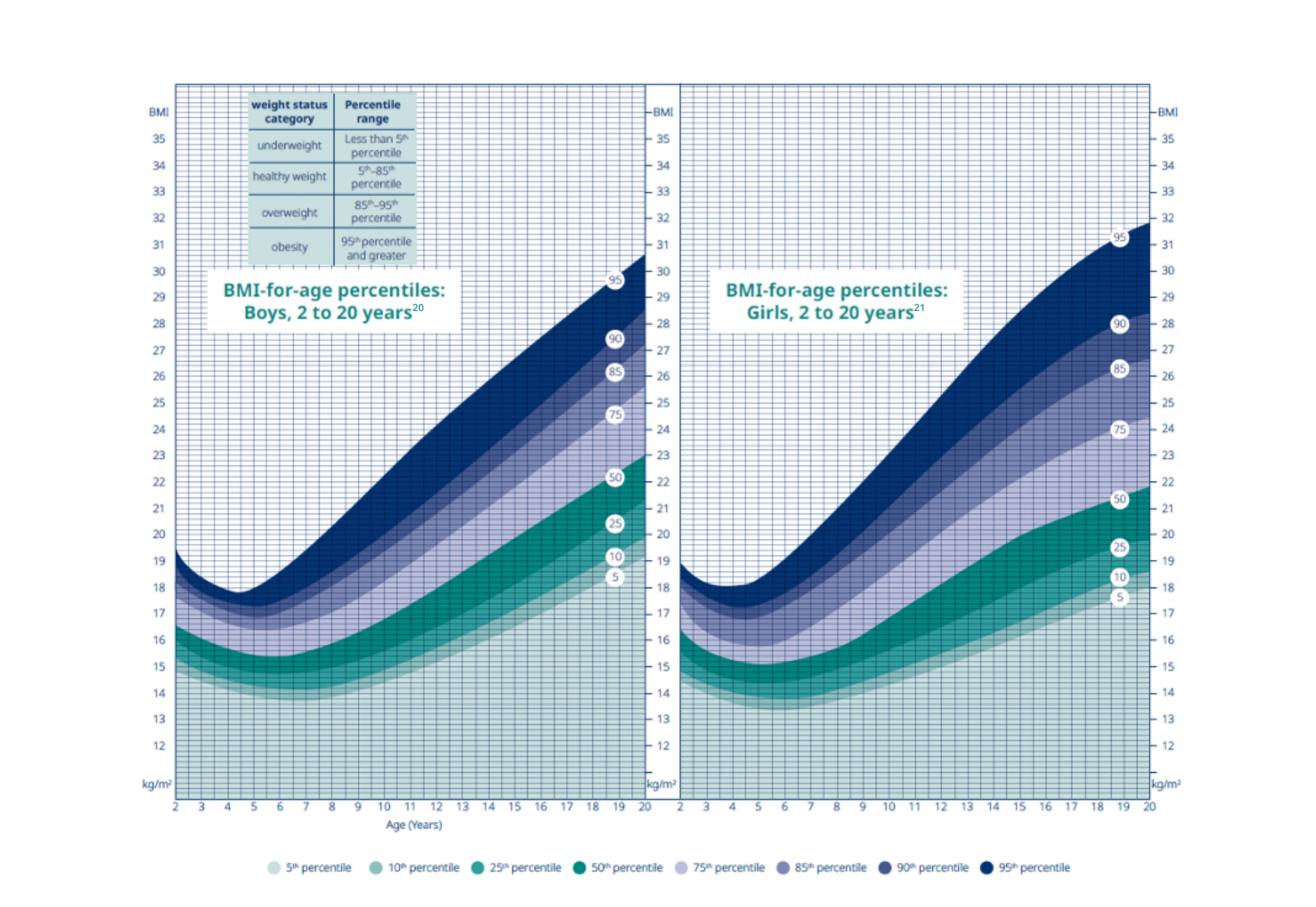 BMI Graph