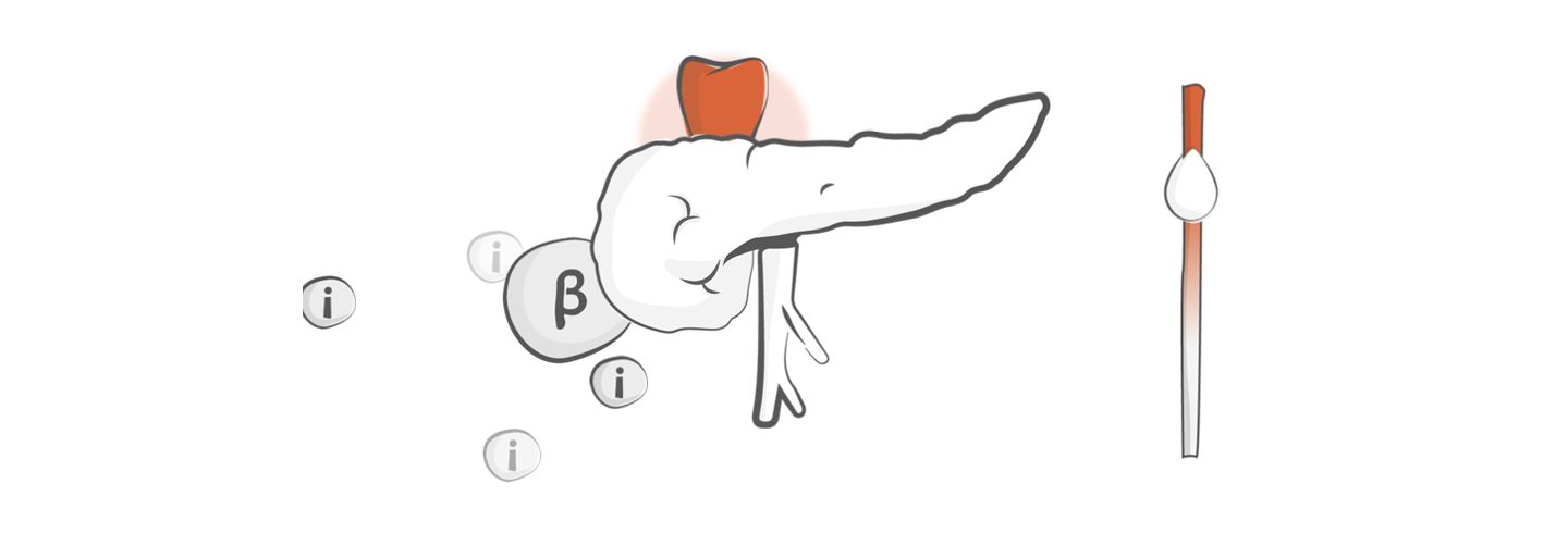 native glp 1 Understanding GLP-1 RA in Diabetes