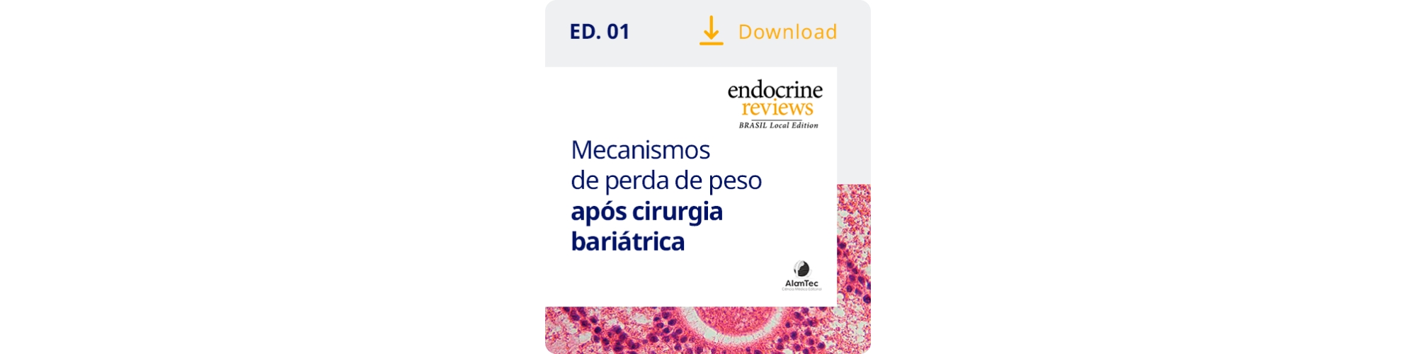 endocrine review