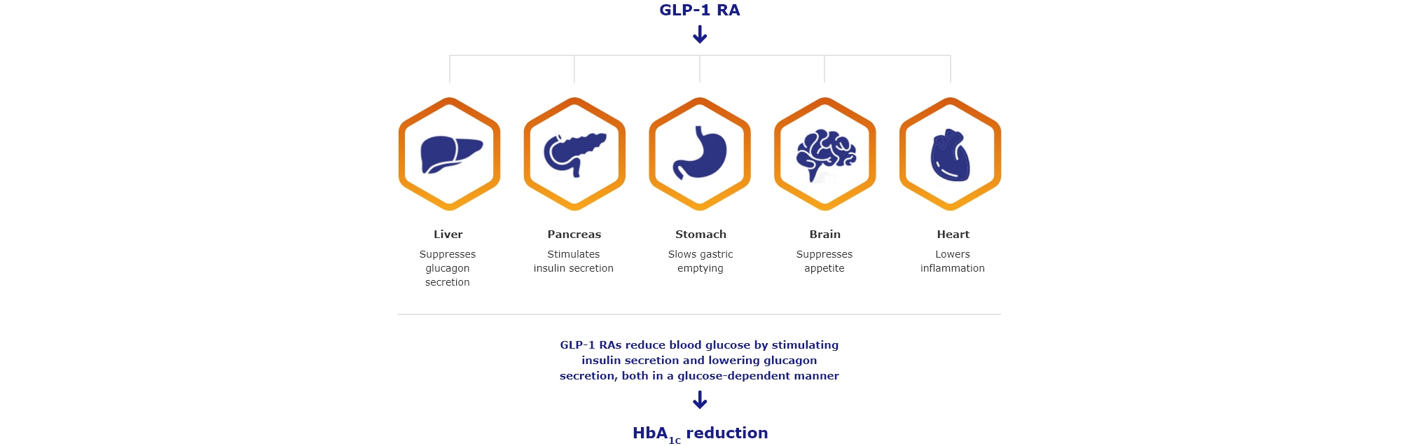 Oral semaglutide formulation