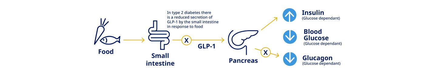 why do people stop taking glp 1 drugs Stopping GLP-1s: Weight Regain and Maintenance Tips
