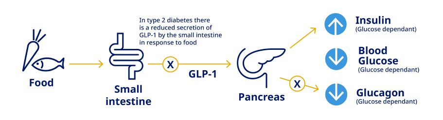 health biotech news today glp-1 obesity drugs Alarming rise in weight loss drug GLP-1 overdoses