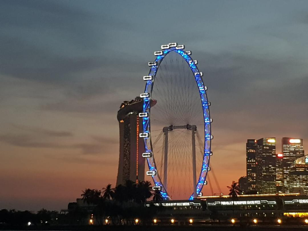 Celebrating World Diabetes Day with the lighting of the Singapore Flyer in blue