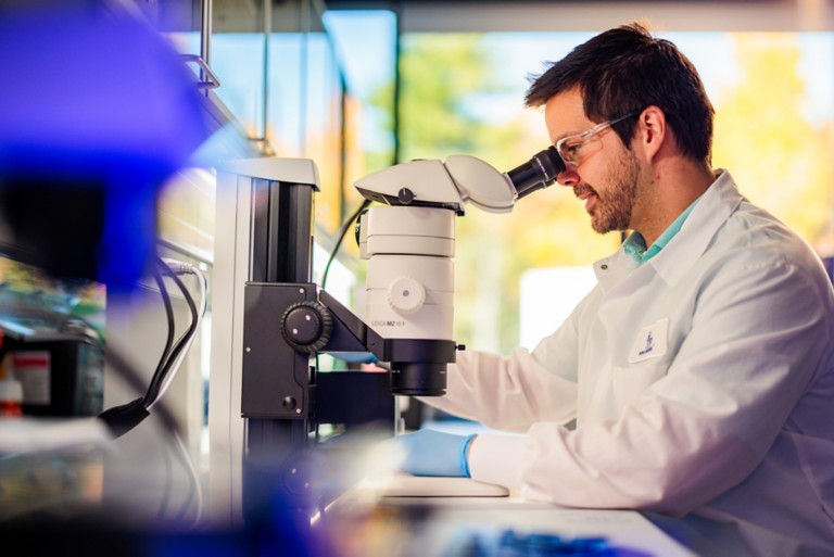 Photo of a researcher at a microscope