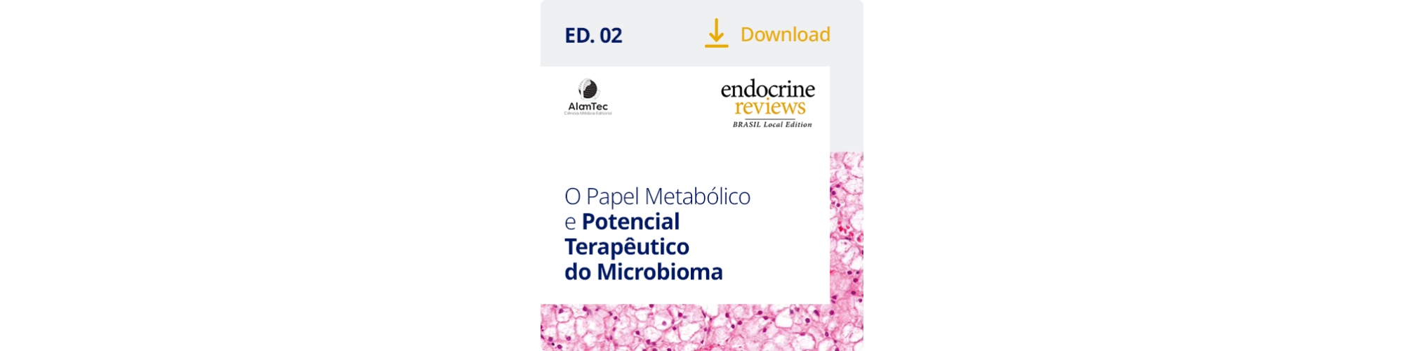 endocrine review