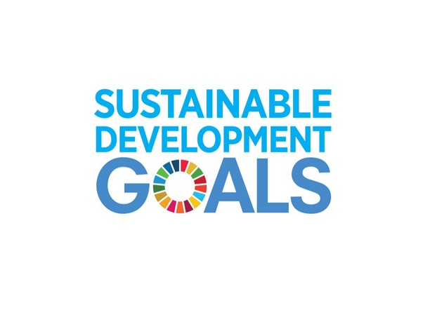 Tvarios plėtros tikslų logotipas