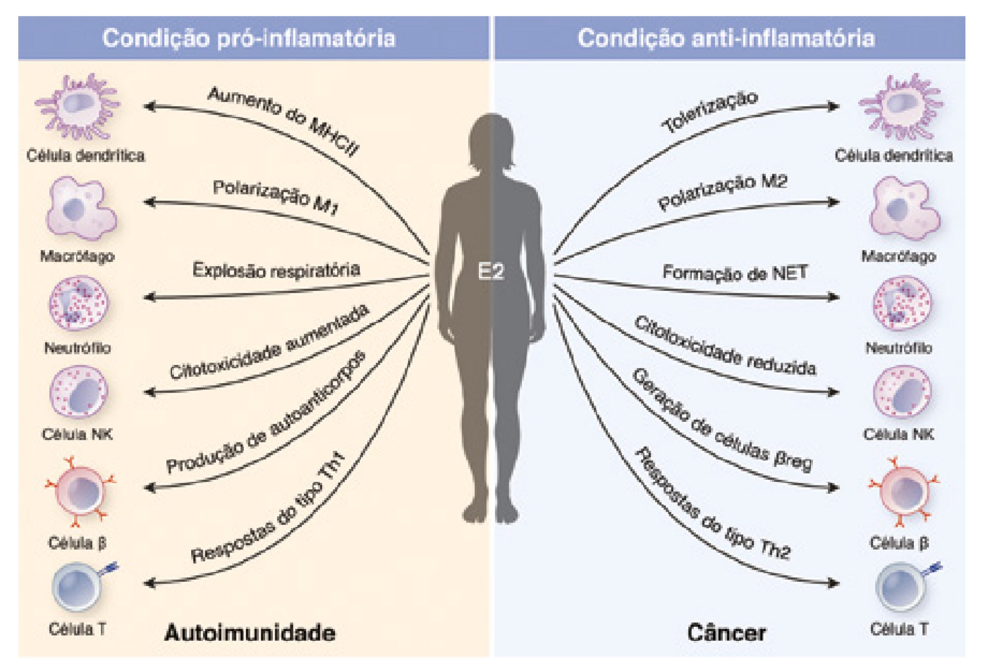 Sinalização do Receptor