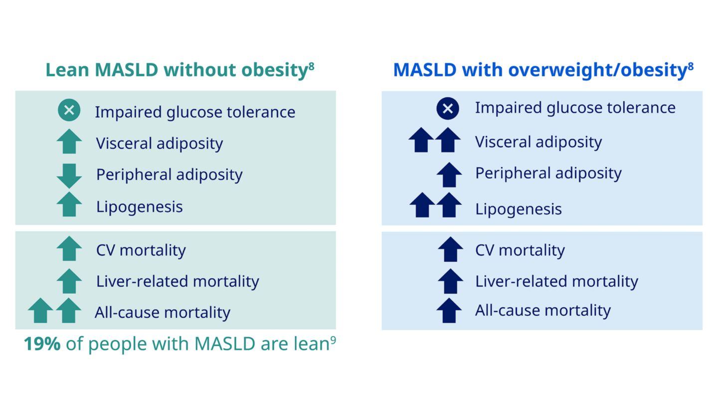 Understanding MASH as a metabolic disease