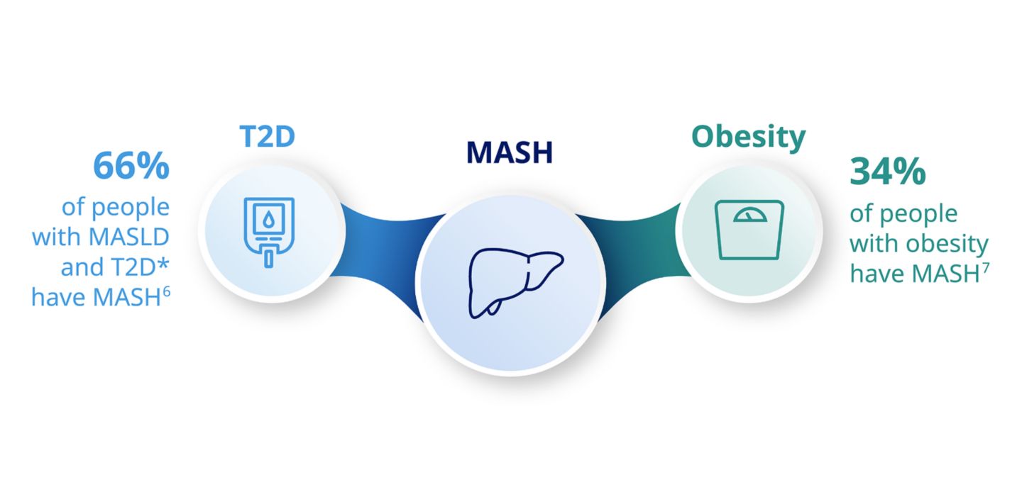 Understanding MASH as a metabolic disease