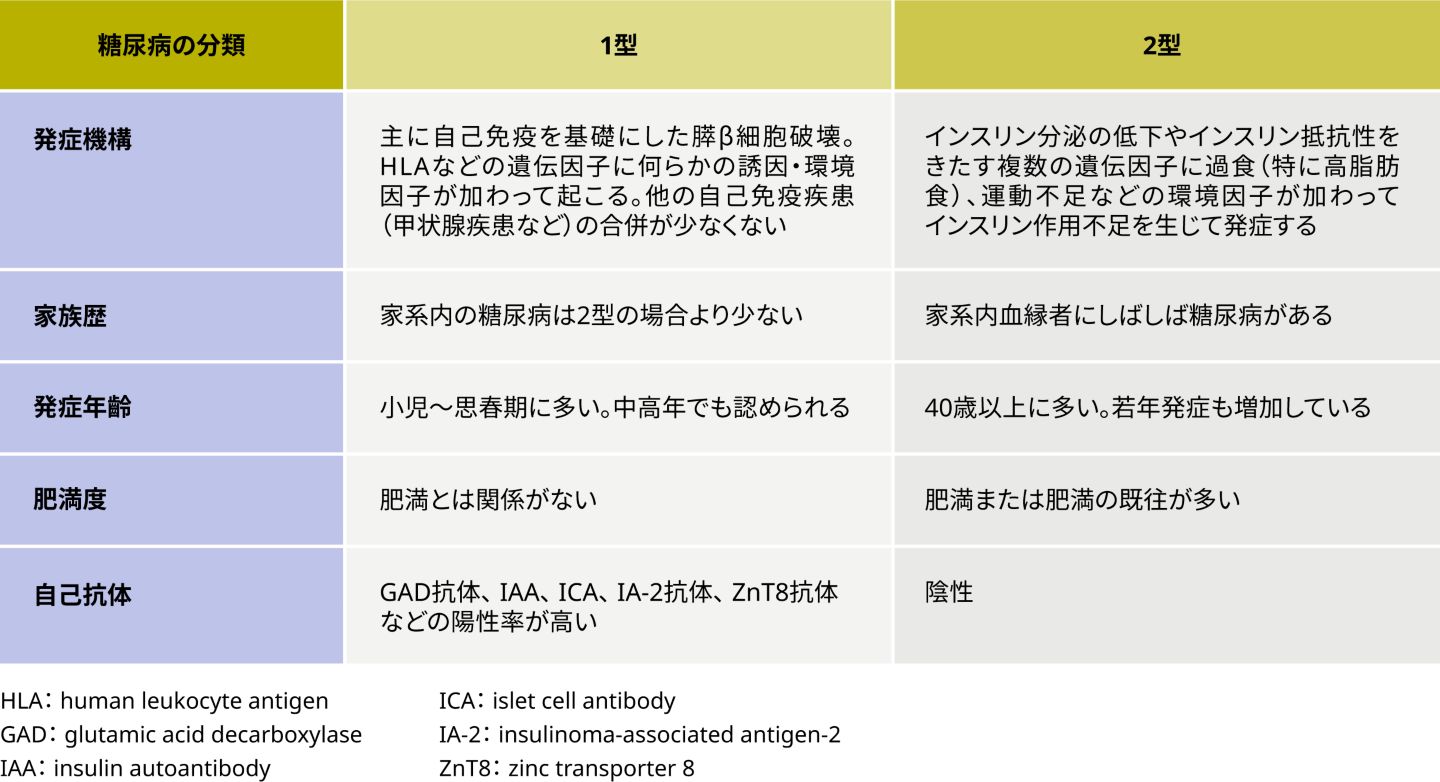 糖尿病 1 型 2 型 違い